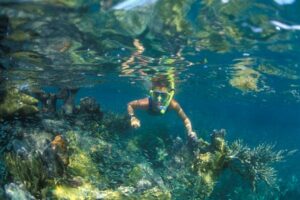 The best spots for snorkeling in Key Largo, from wrecks to reefs