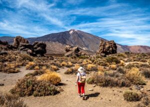 14 best things to do in Tenerife