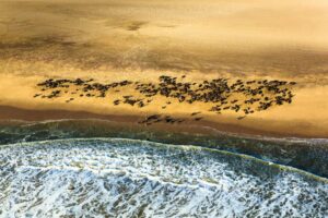 Best adventure activities in Namibia