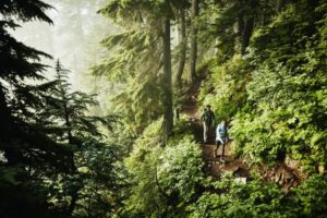 Lonely Planet’s experts pick their top hikes in the Americas