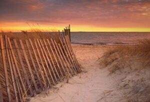 The best ways to get around Cape Cod this summer