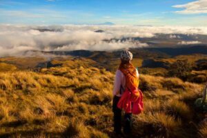 The best national parks in Colombia